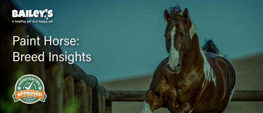 Dealing with Wet Paint Horse: A Simple Guide for Everyone!