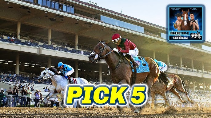 Free picks at Del Mar racing: Your guide to making smart bets with tips from top handicappers