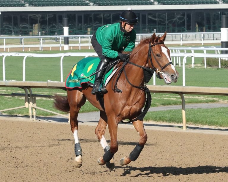 Derma Sotogate Horse Racing: What You Need to Know Before You Bet on This Exciting Sport