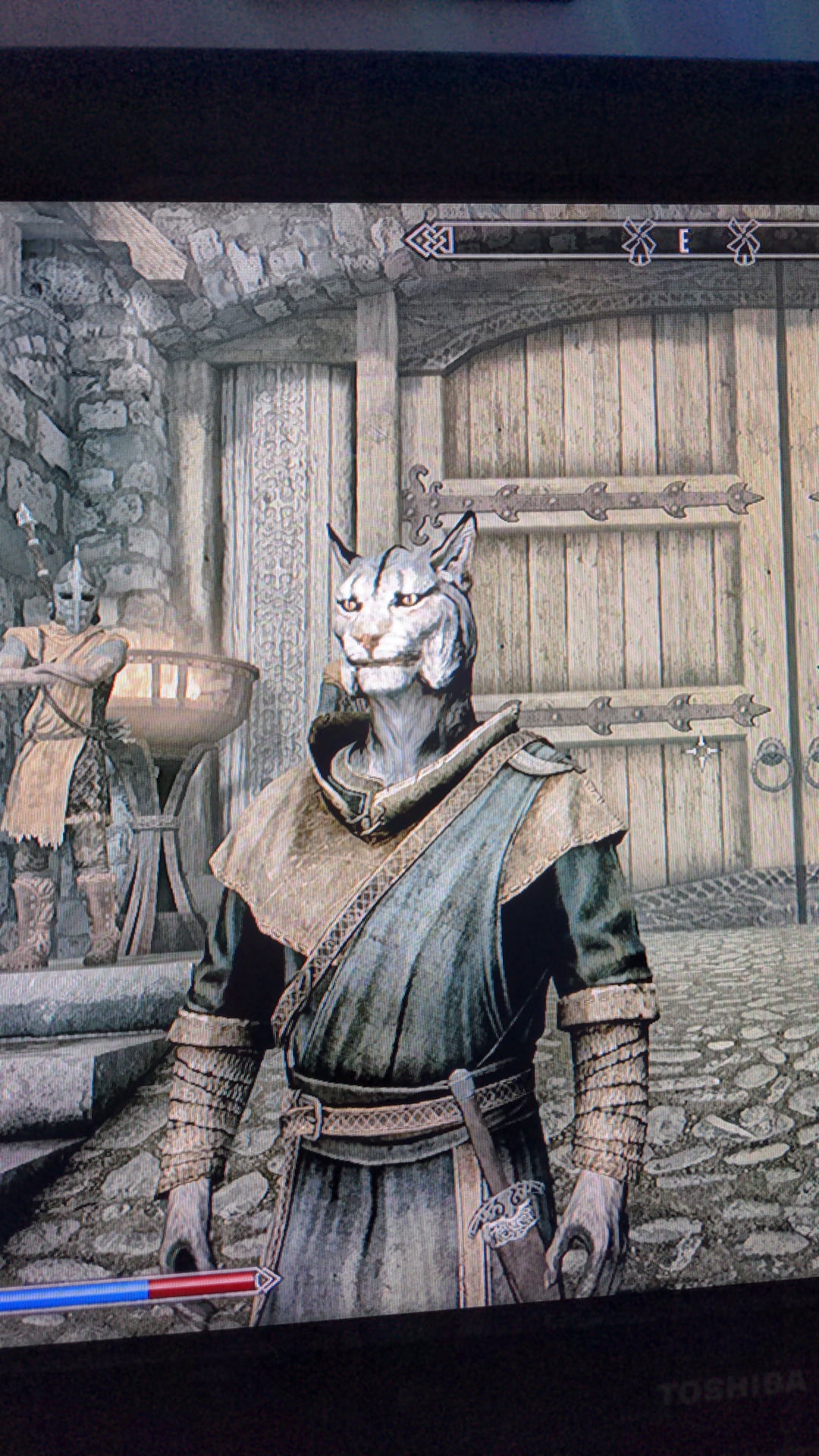 Best Skyrim Khajiit Build: Make Your Kitty a Killer!