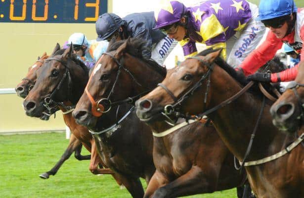 Ascot Races Today Results See the Full List Now