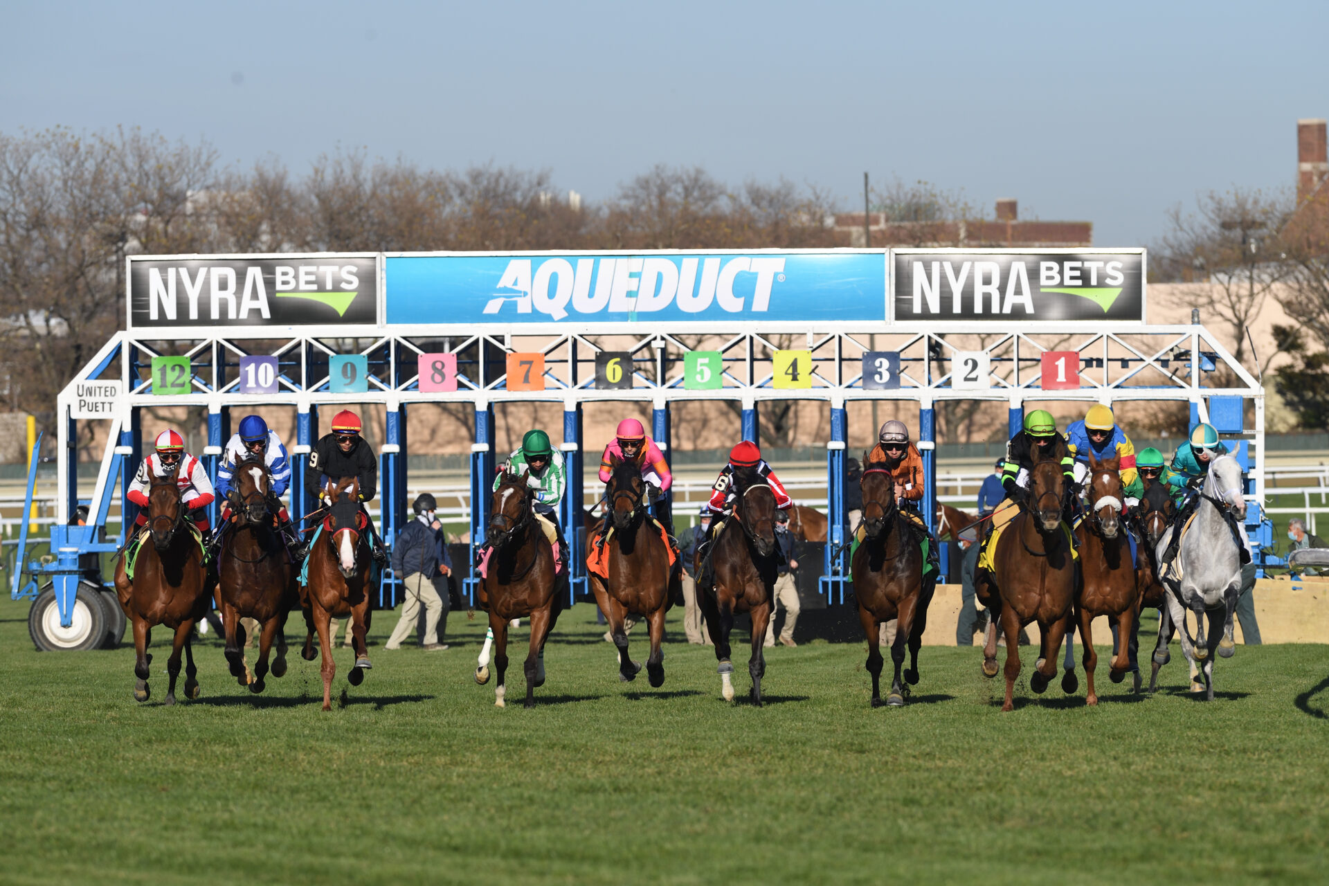Aqueduct Free Picks: Find the Best Racing Tips and Win More!