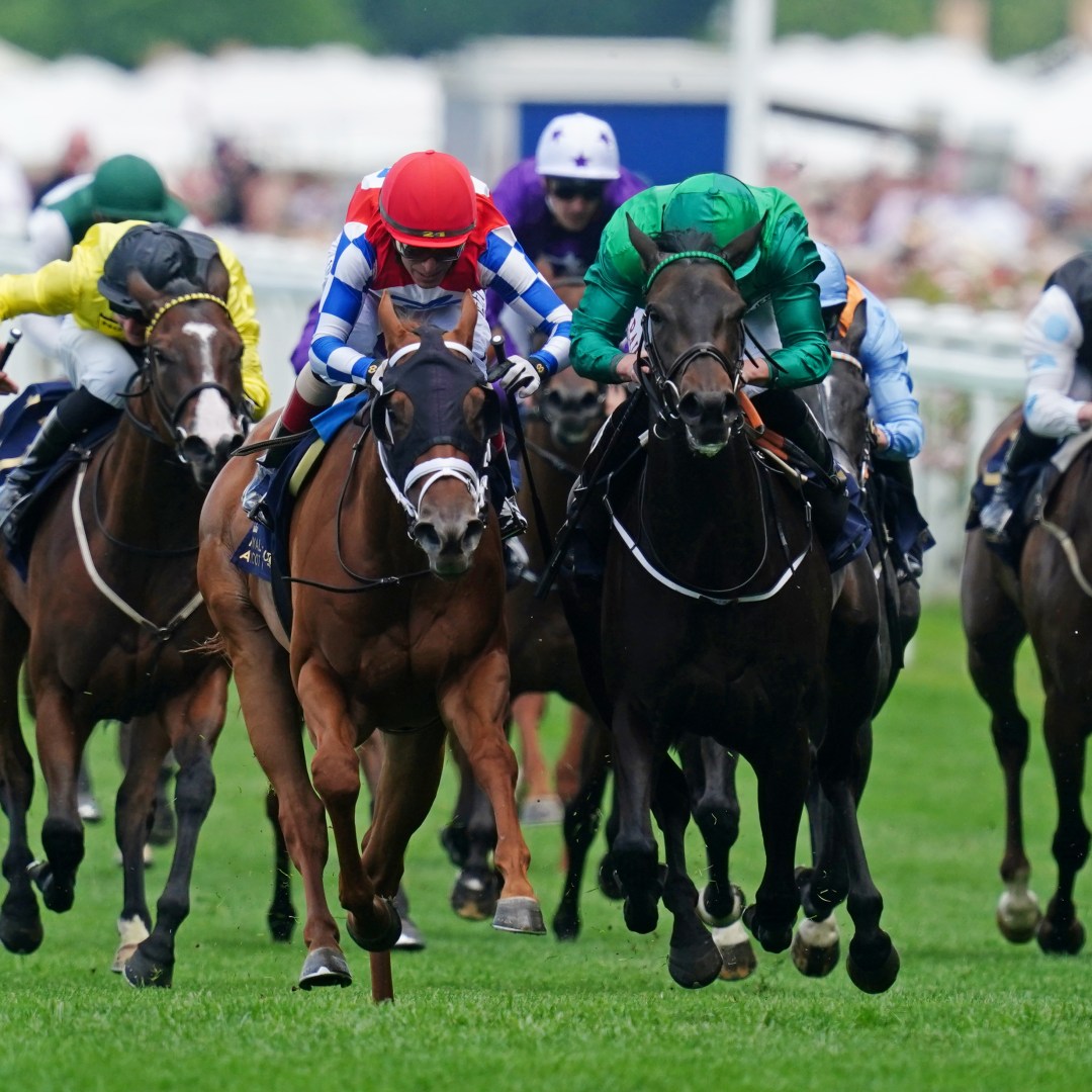 Ascot Races Today Results See the Full List Now