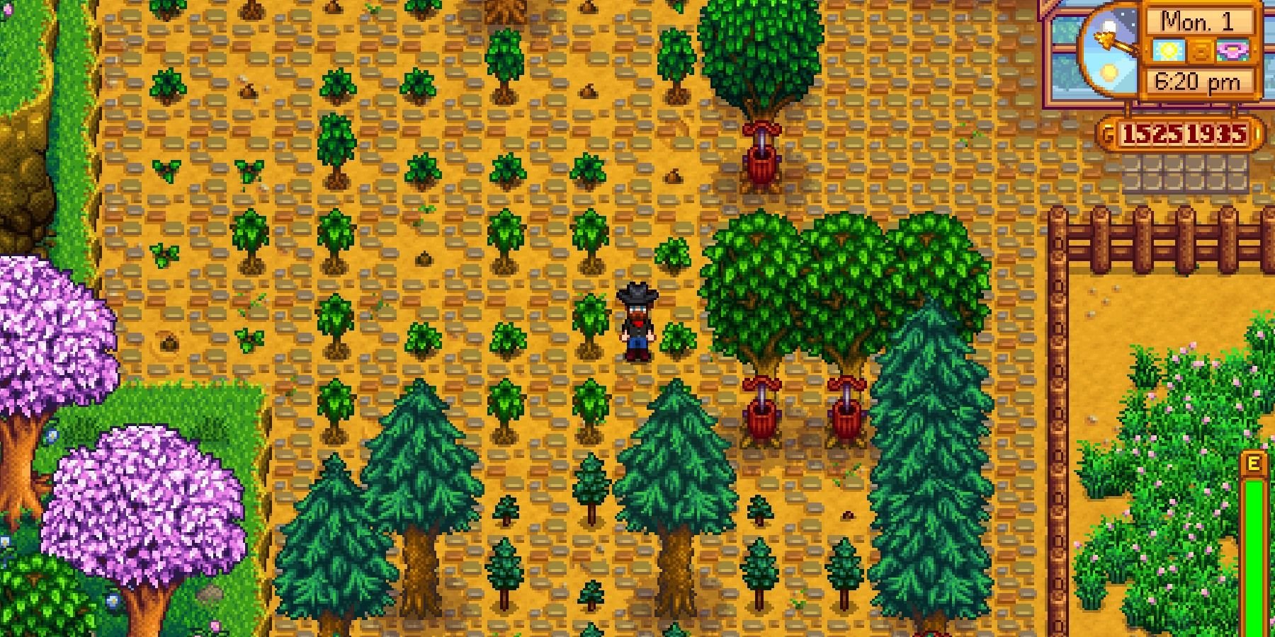 Stardew Valley Tree Farming Tips: How to Make the Most of It