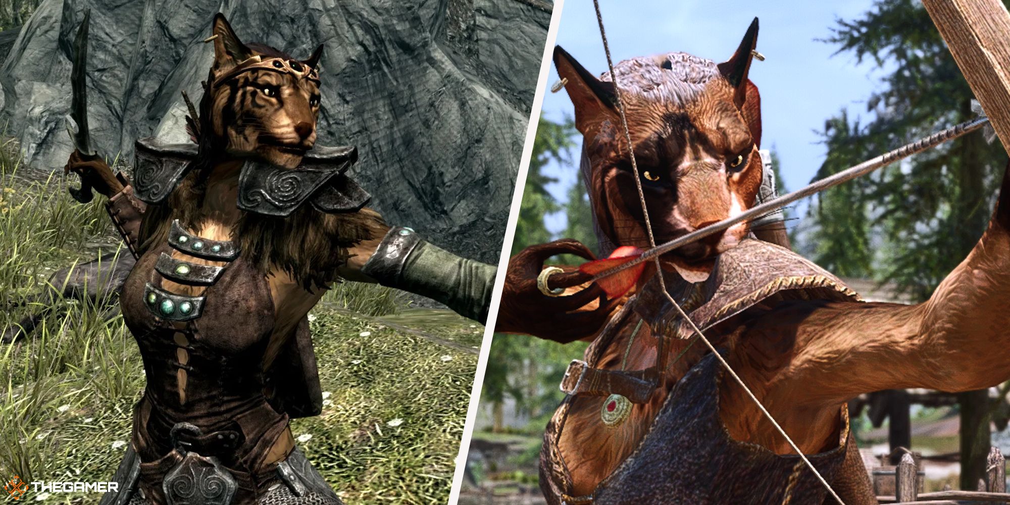 Best Skyrim Khajiit Build: Make Your Kitty a Killer!