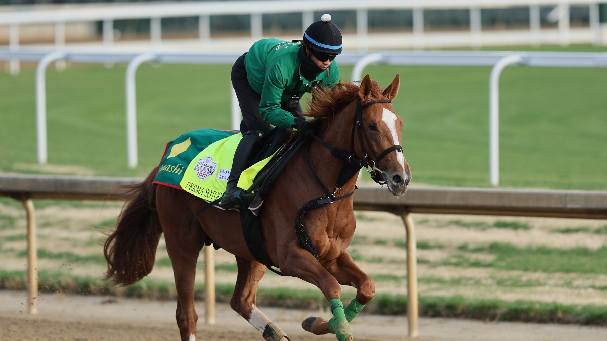 Derma Sotogate Horse Racing: What You Need to Know Before You Bet on This Exciting Sport