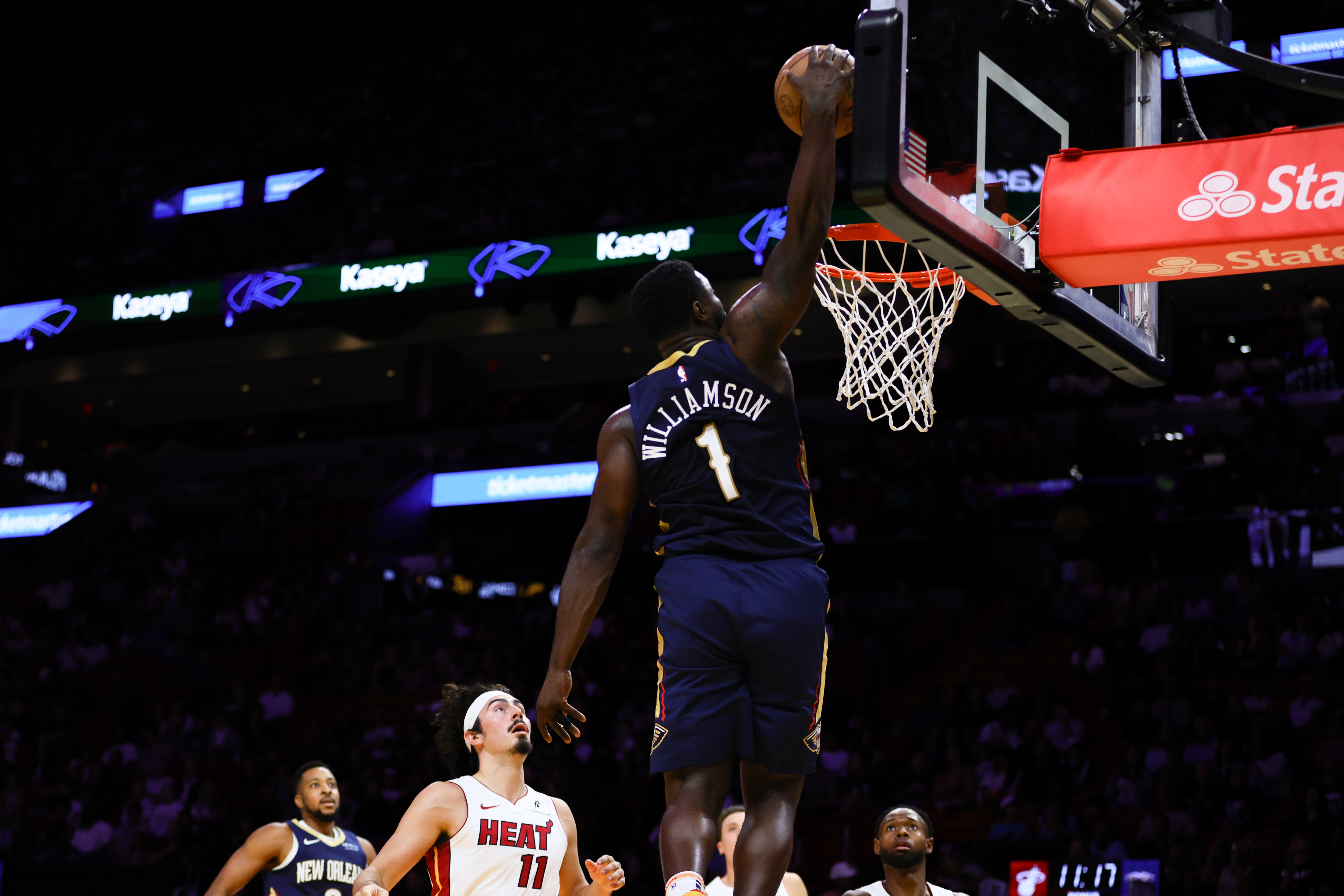 Pelicans Where to Watch Them Live? Best Spots to See Pelicans!
