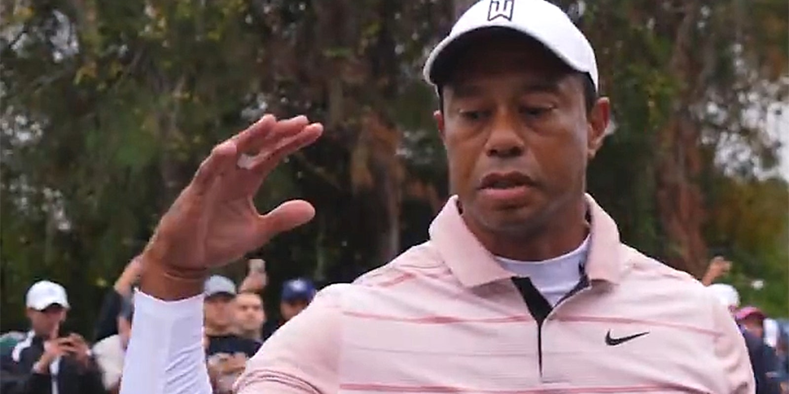 Big Dog Tiger Woods: Heres the reason for the nickname.