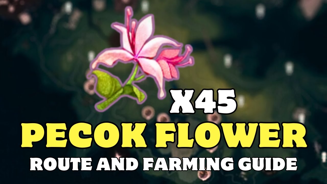 All About Pecok Flower Wuwa (Learn Everything You Need to Know)