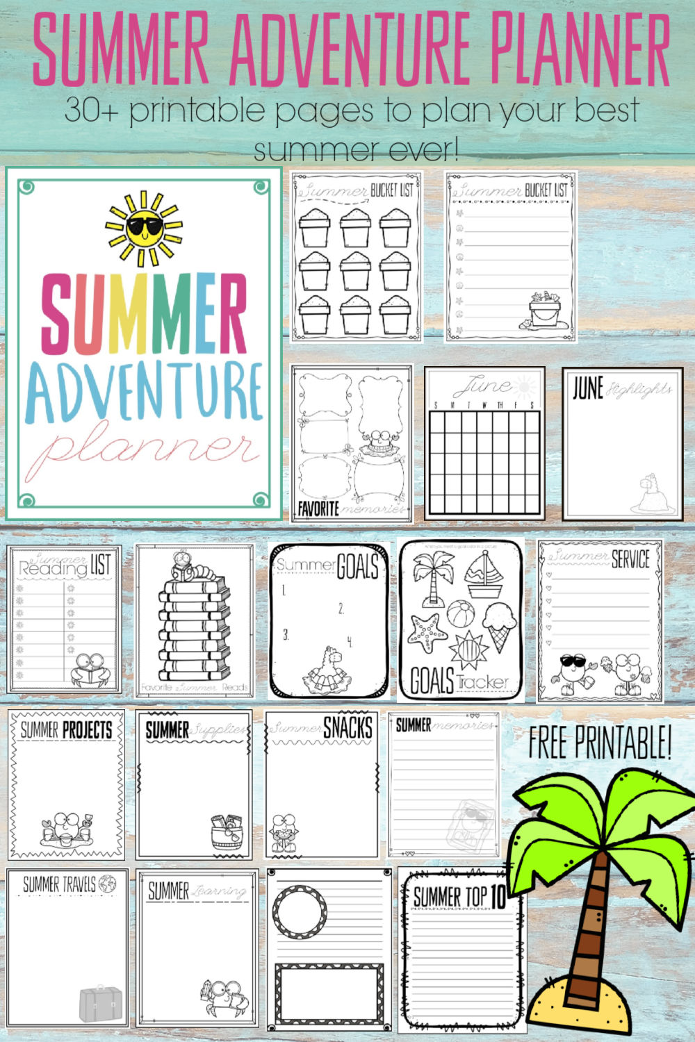 Tim Summer Plan Your Adventure: Top Tips for a Great Time!