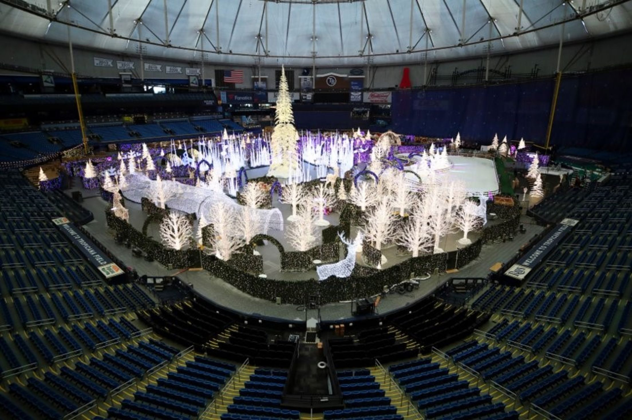 Tropicana Stadium Events Schedule: Check Out Concerts, Sports, and Everything Happening