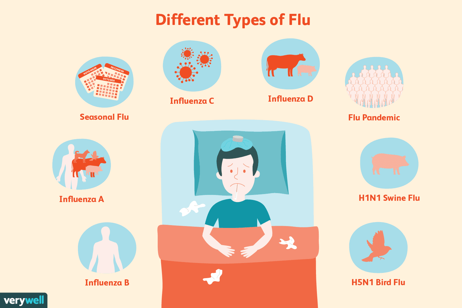 Flu Classificação Explained: Easy-to-Understand Guide to the Current Standings