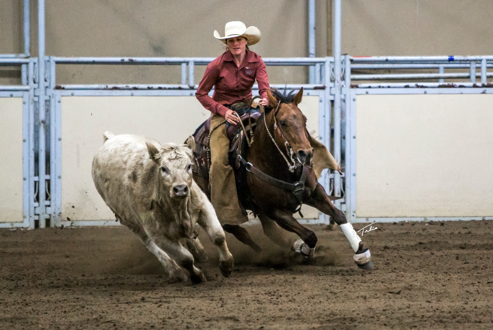 Avoid Being Horse Poor: Smart Tips for Horse Owners on a Budget