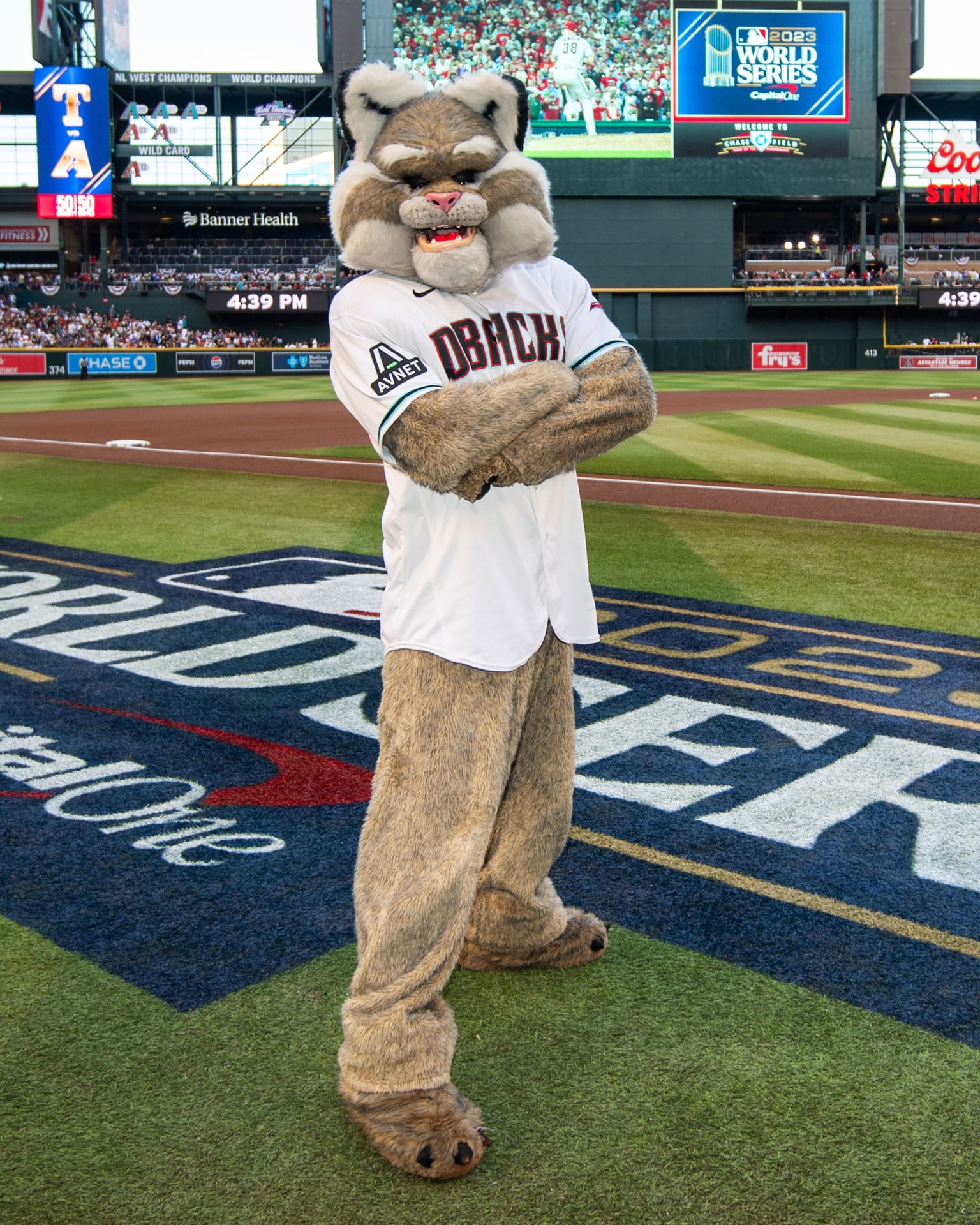 Meet Dbacks Baxter: The Bobcat Whos Always Up to Something!