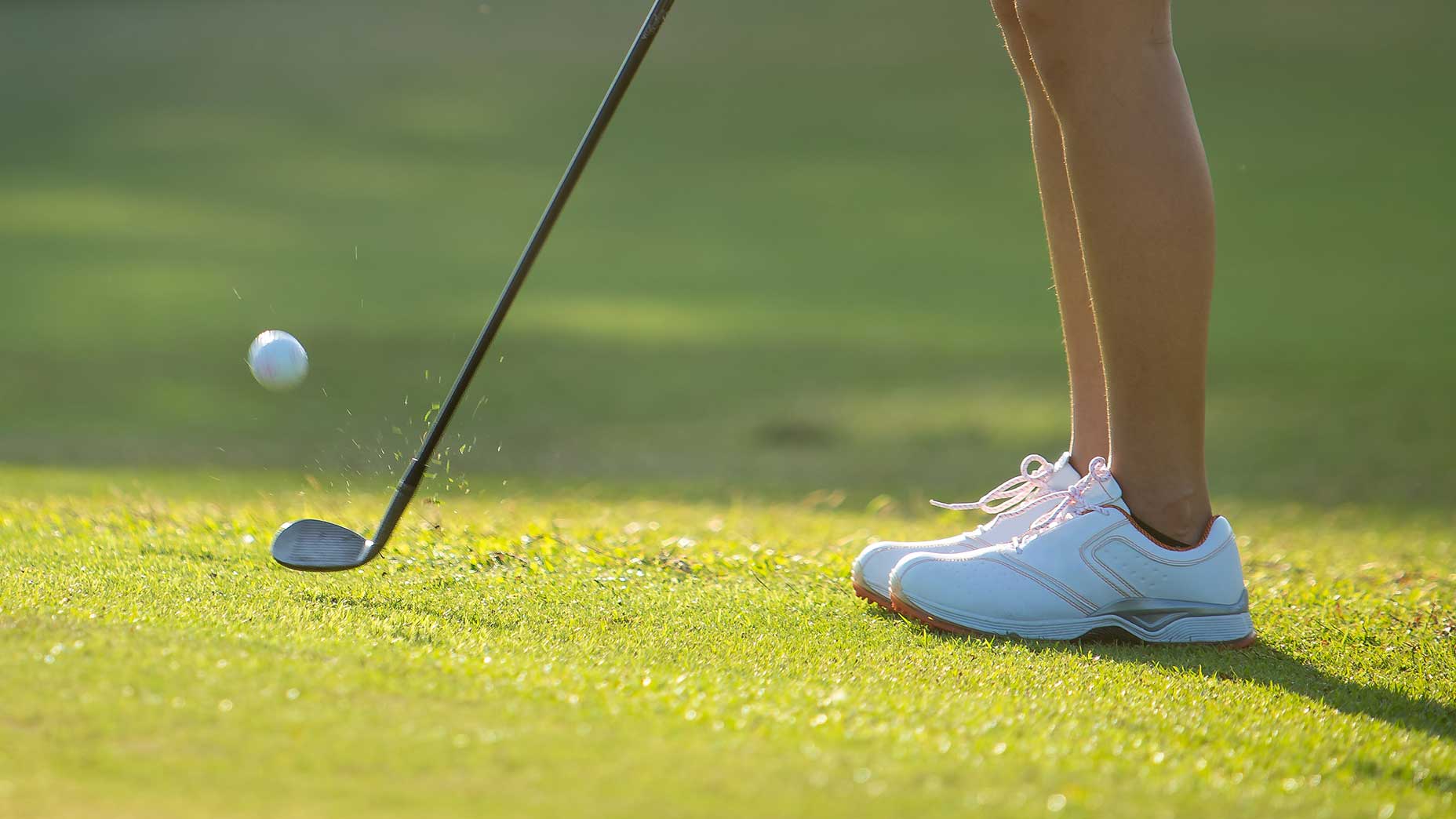 Rules for Putting in Golf: Improve Your Short Game With These Tips!