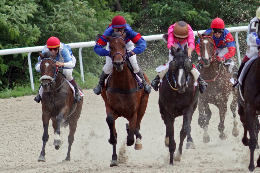 What does Lasix do for horses? Discover the pros and cons now!