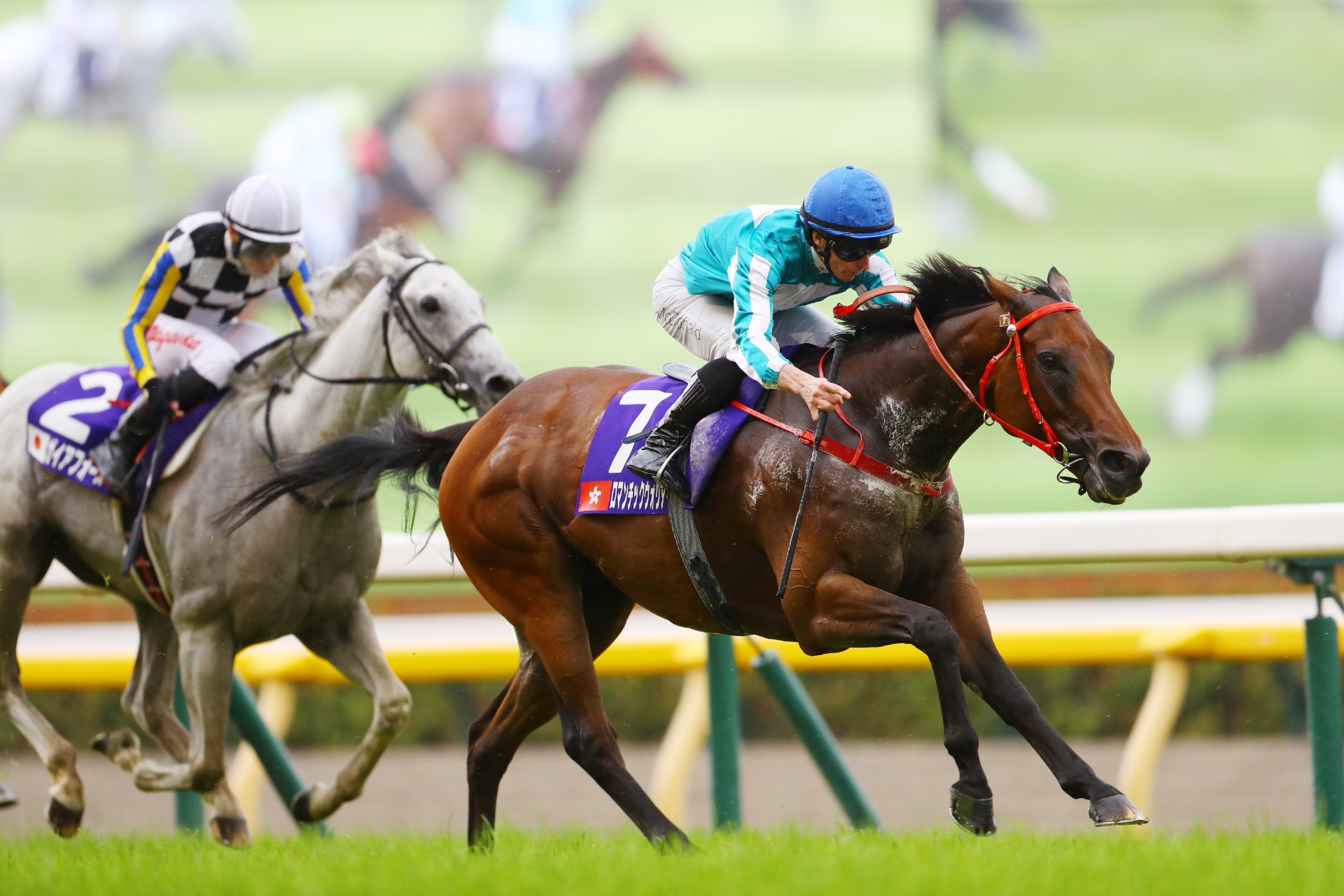 Romantic Warrior Horse: How Did This Horse Become a Racing Superstar?
