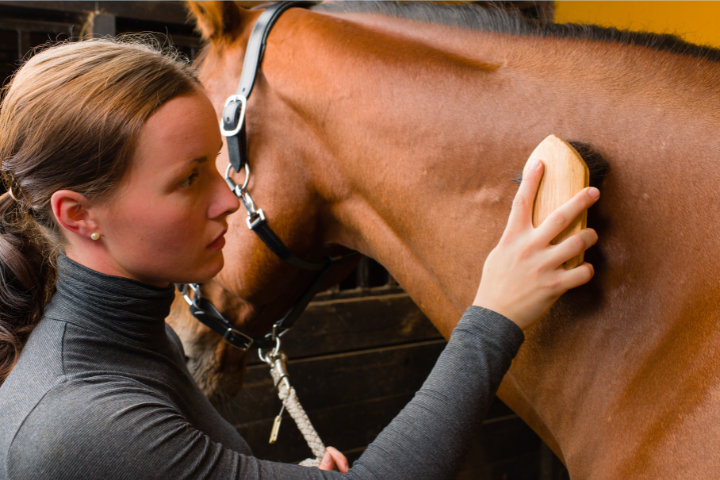 Avoid Being Horse Poor: Smart Tips for Horse Owners on a Budget