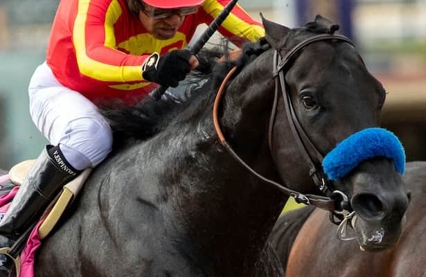 What to Expect at the 2023 Malibu Stakes Race