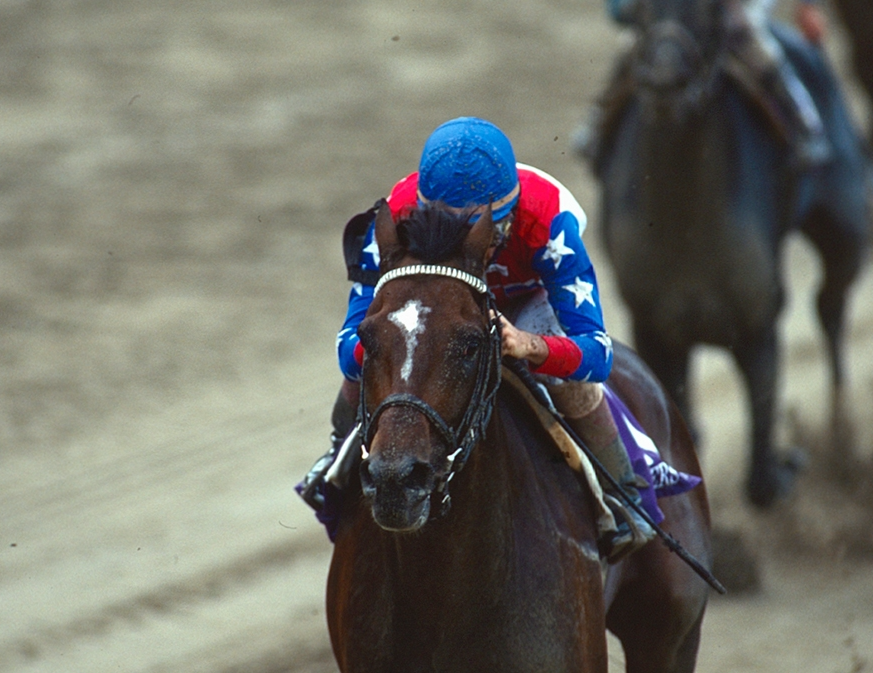 Mystik or Pedigree: Which One Should You Choose? Heres How to Make the Best Decision.