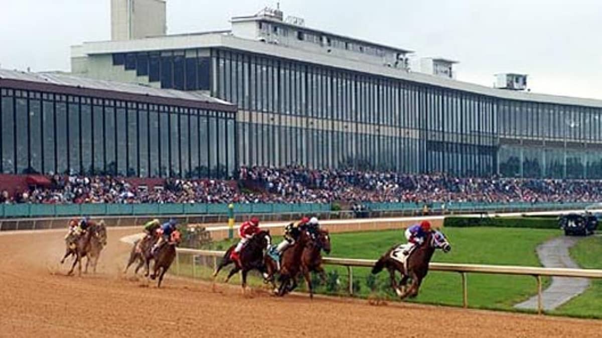 wd horse racing tracks (discover the best horse racing tracks near you)