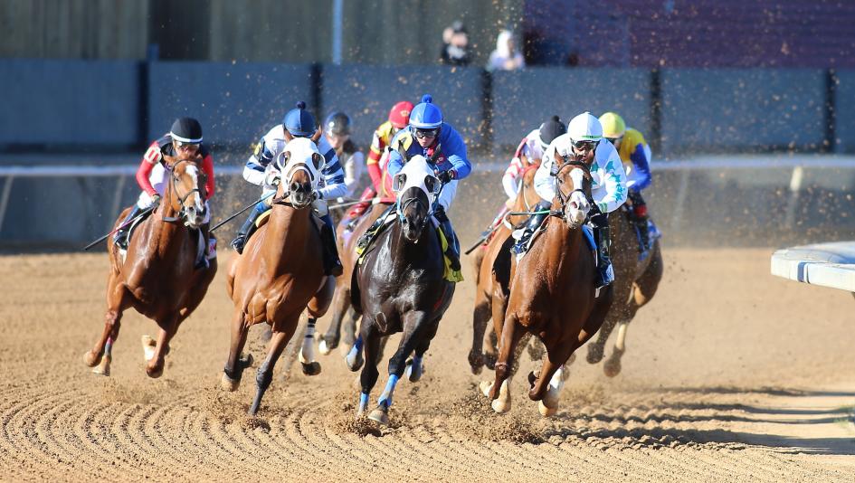 Top Jockeys at Oaklawn Park: Get to Know the Best Riders and Their Winning Strategies.