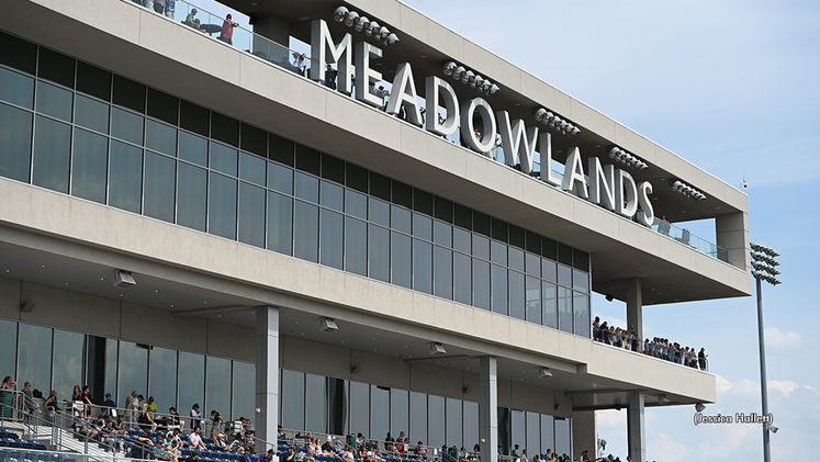 Need Meadowlands Raceway Results? Check Out the Winners Now!
