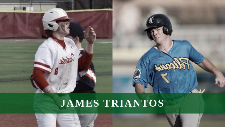 James Triantos Stats: Exploring the Data Behind This Rising Stars Success