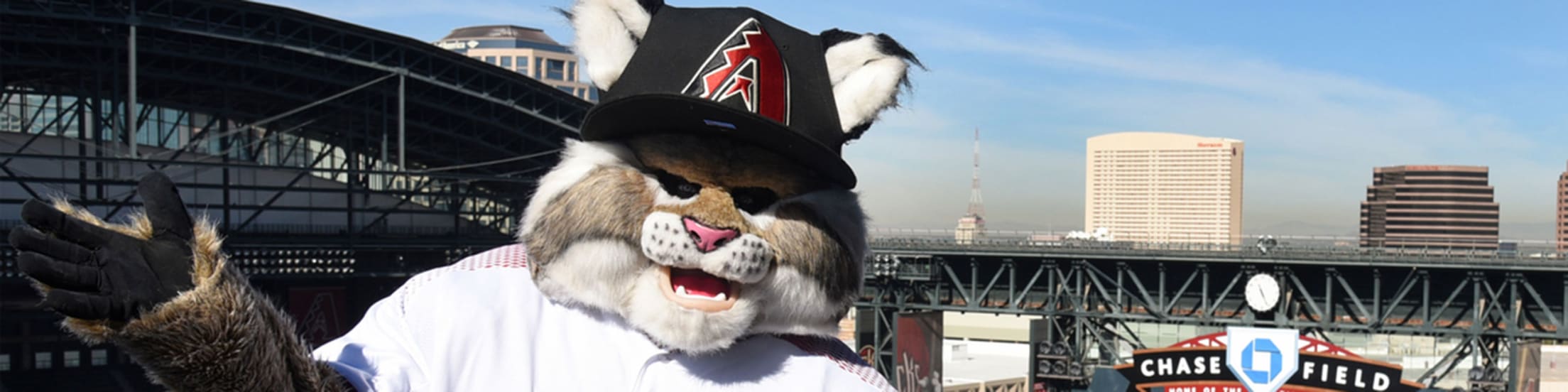 Meet Dbacks Baxter: The Bobcat Whos Always Up to Something!