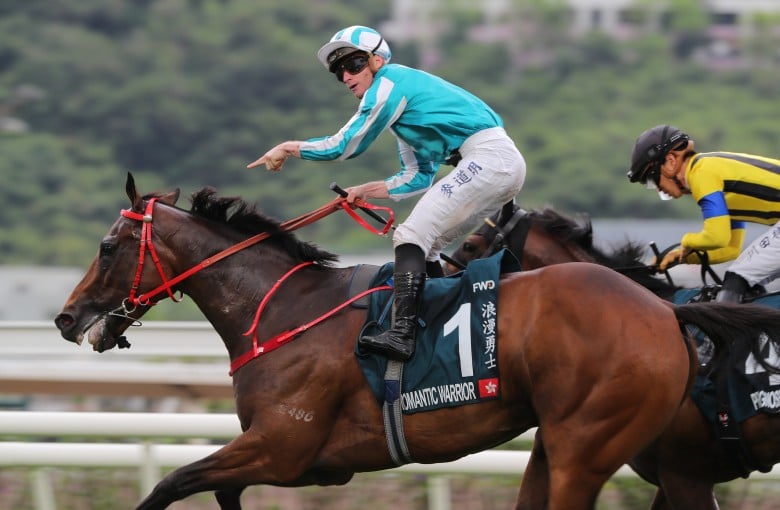 Romantic Warrior Horse: How Did This Horse Become a Racing Superstar?
