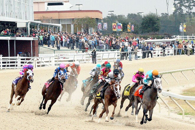 wd horse racing tracks (discover the best horse racing tracks near you)