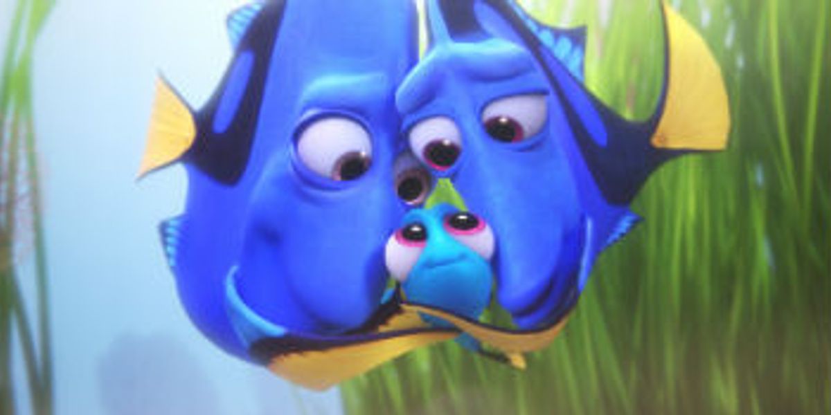 Need Help With Dory Serving? Check This Out!