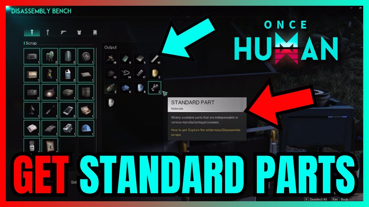Standard part once human definition, Easy guide to know it quickly.