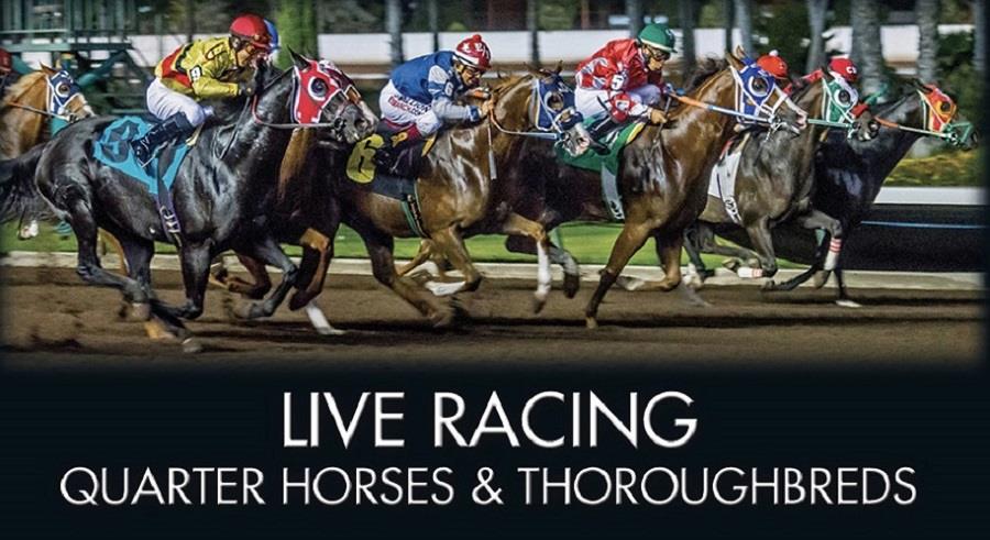 Need Los Alamitos Horse Racing Results? Check Here for Daily Updates