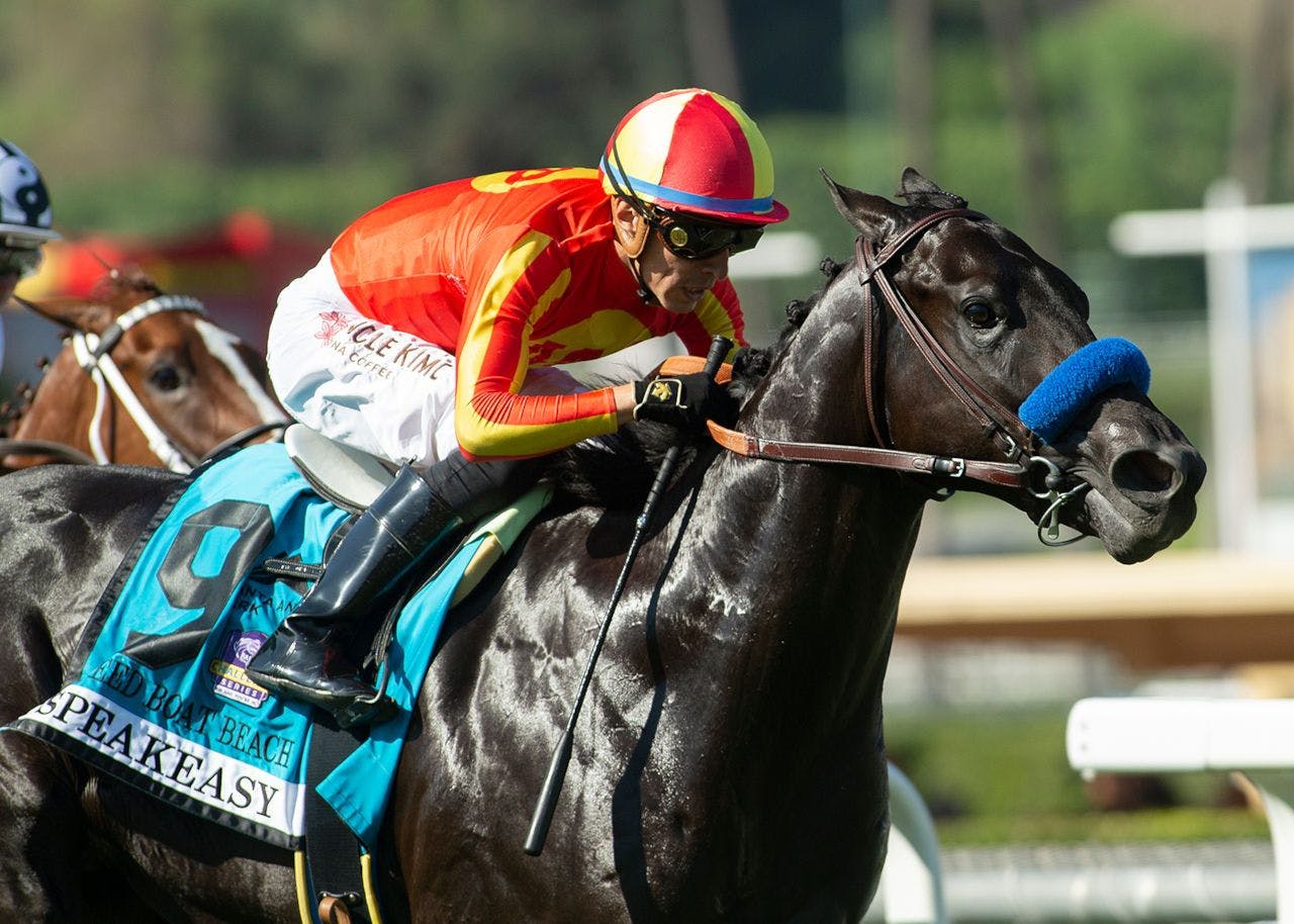 What to Expect at the 2023 Malibu Stakes Race