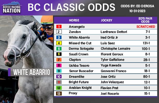 Breeders Cup Classic 2023 Contenders: Check Out the Top Horses!