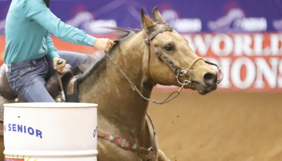 What does Lasix do for horses? Discover the pros and cons now!