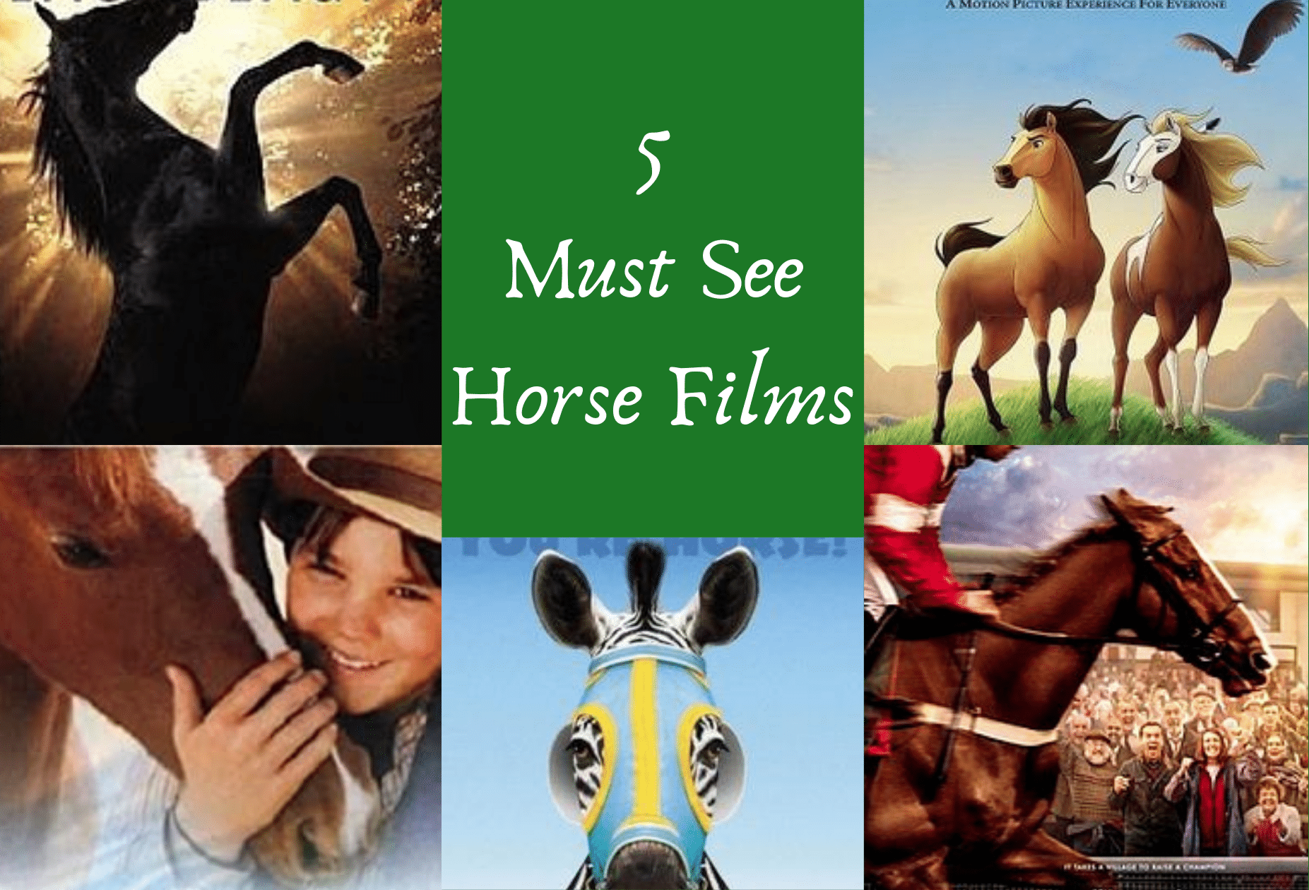 The Last Stallion Film: Why Its a Must-See (Here are 5 Reasons to Watch it Now)