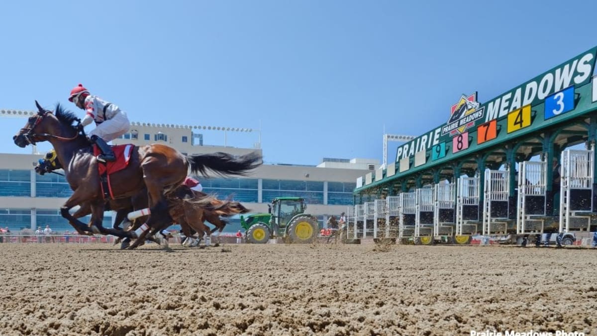 Prairie Meadows Race Results: Get the Latest Winner List | Your Go-To Source for Quick Results