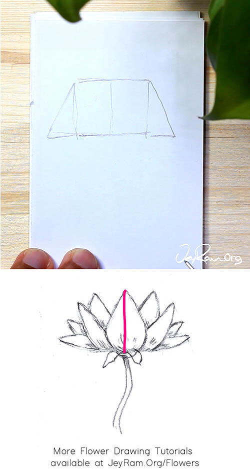 How to Draw a Lotus Step by Step Simple Lotus Tutorial!