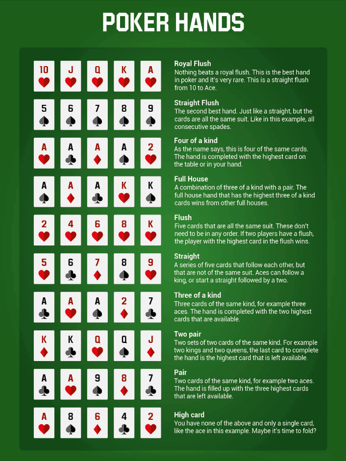 Hol Tour: What Is It? (Simple Guide for Beginners)