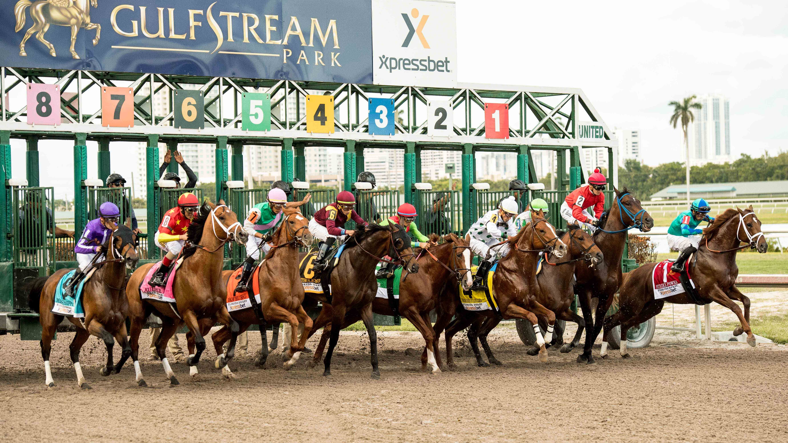 Top Picks for Gulfstream: Expert Predictions and Tips!
