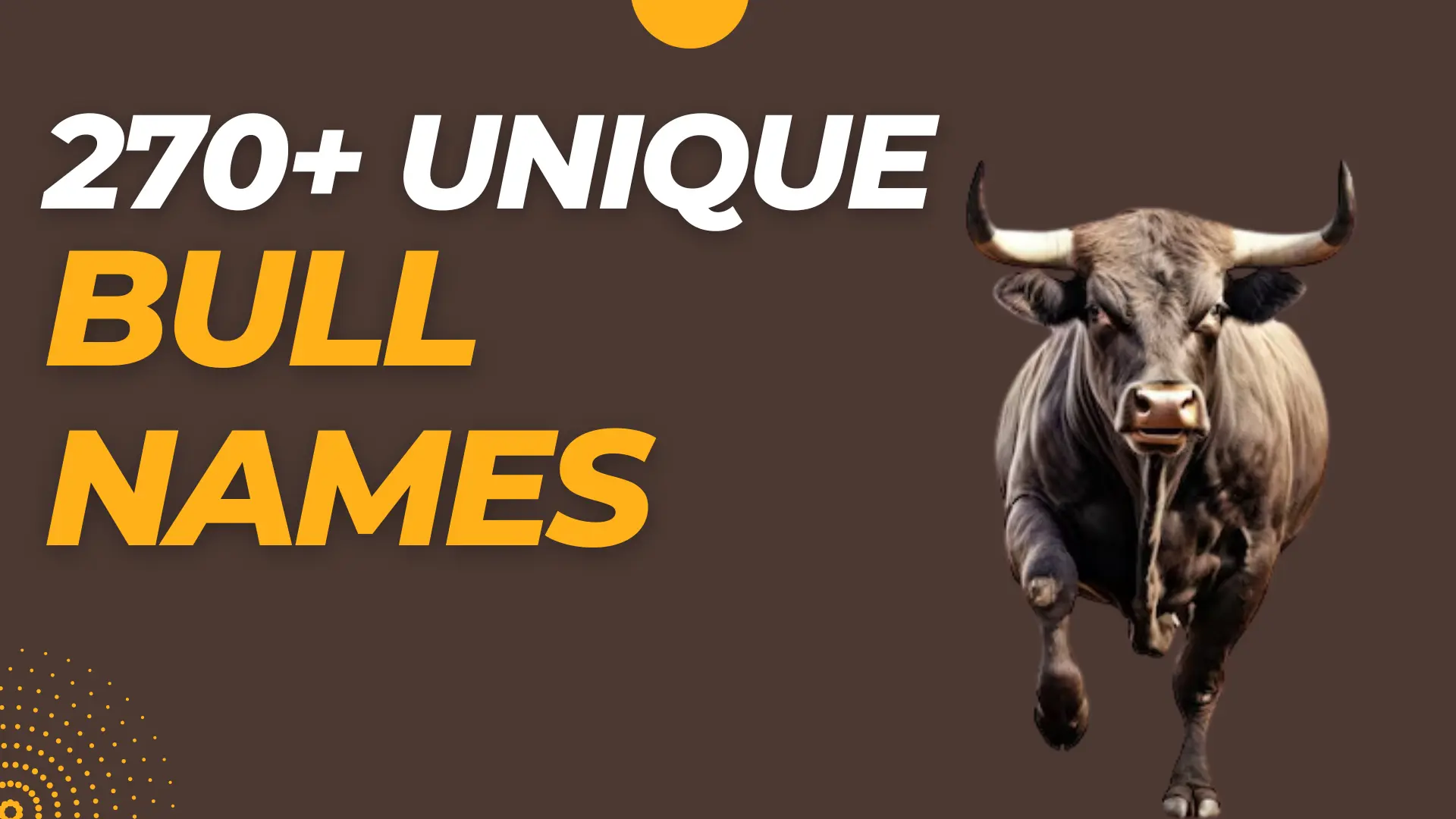 Spanish Bull Name Ideas: Find the Perfect Name for Your Fighting Bull!
