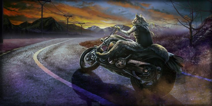 Wolf Riding Motorcycle: Check Out These Cool Pictures and Videos!