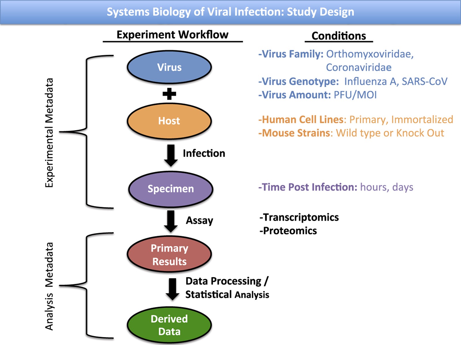 Peter Osterhaus: Quick Guide (Everything about the Famous Virologist)