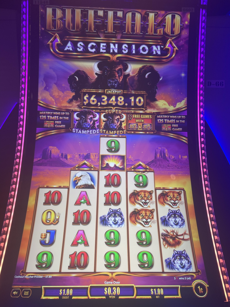 Play Buffalo Slot Machine: Nearest Locations to You Now!