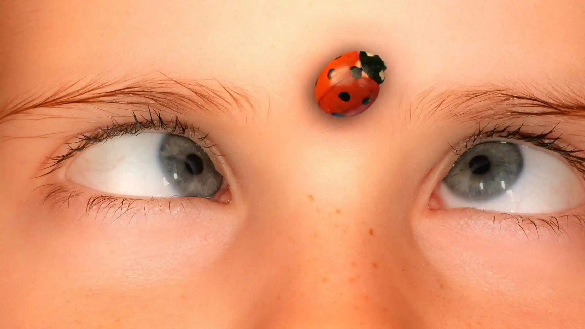 Kill Squint or Not: Easy Tips for Better Eye Comfort