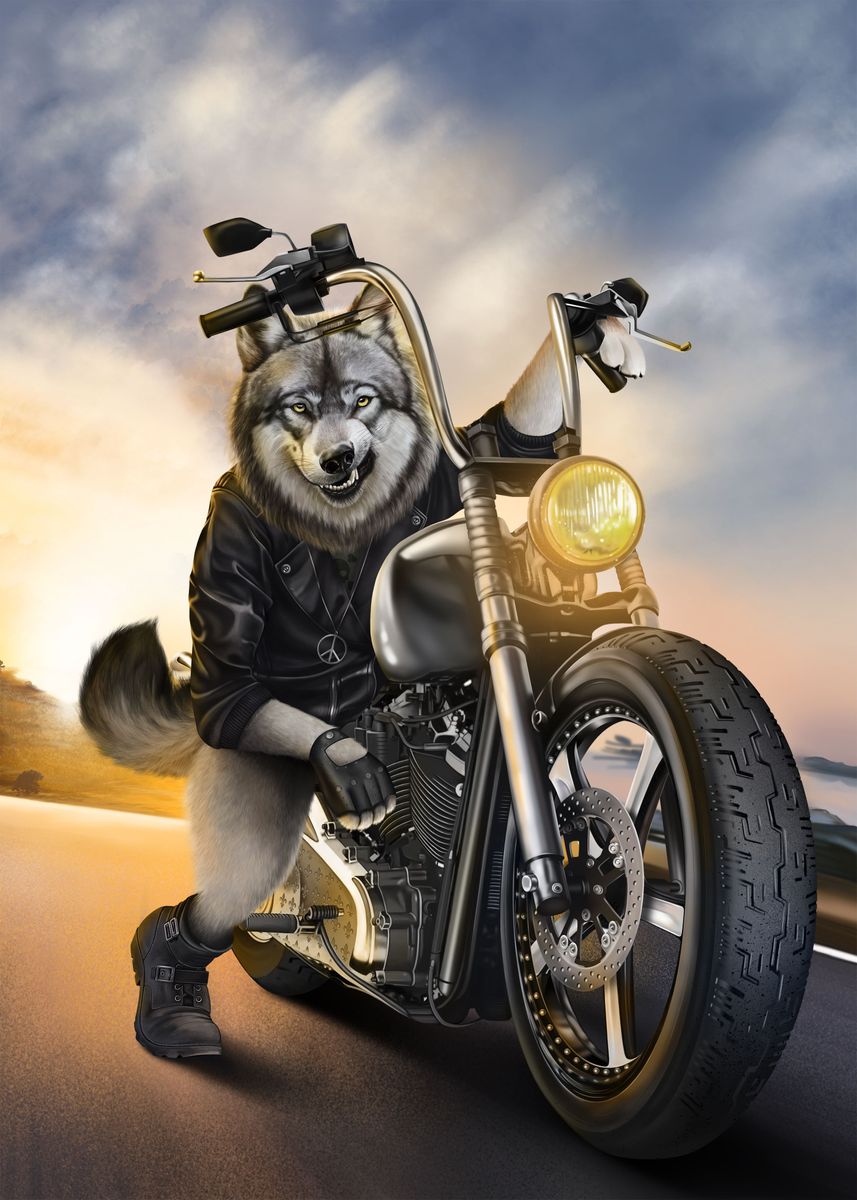 Wolf Riding Motorcycle: Check Out These Cool Pictures and Videos!