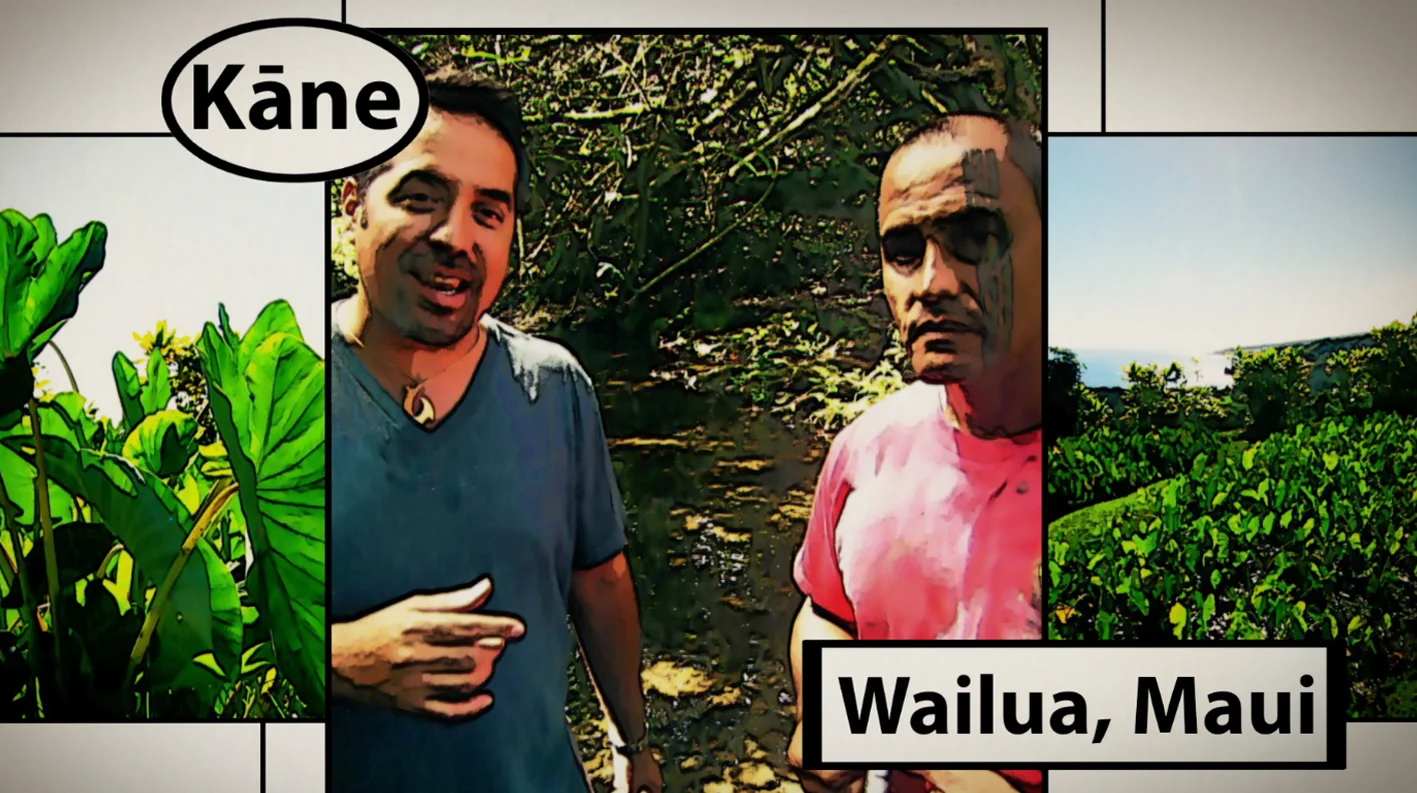 Need Help with kāne? Find top tips about kāne here!