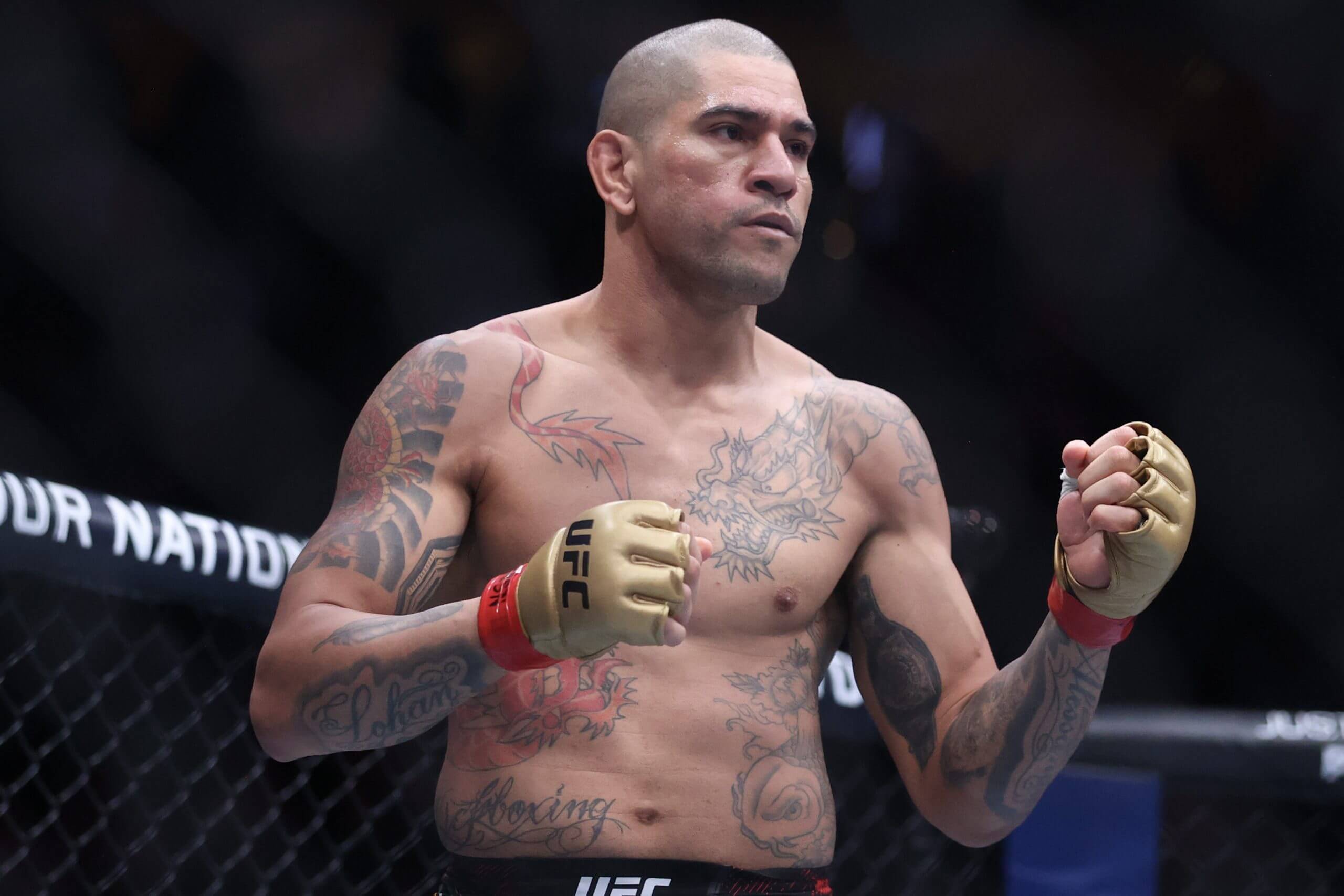 Pereira vs Junior: Live Stream, Predictions, and Fight Details (Everything you need to know for easy watch)